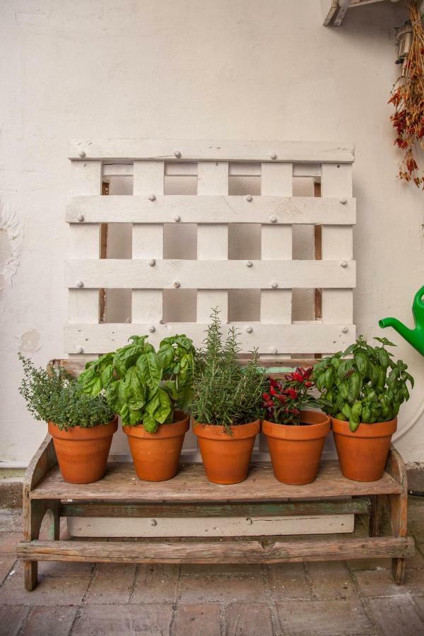 Borgo Vergini Garden B&B Napoli Dış mekan fotoğraf